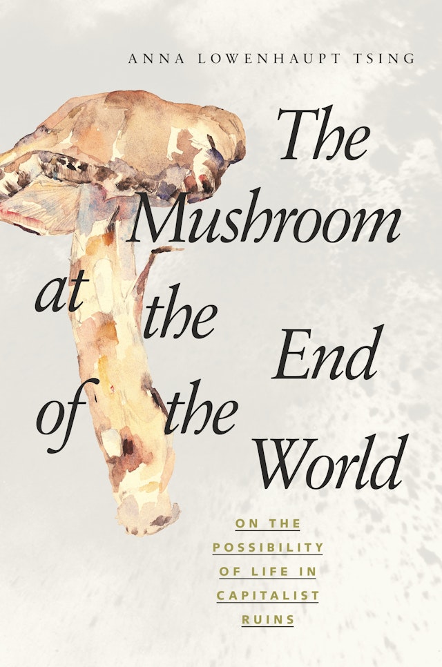 The Mushroom At The End Of The World Princeton University Press