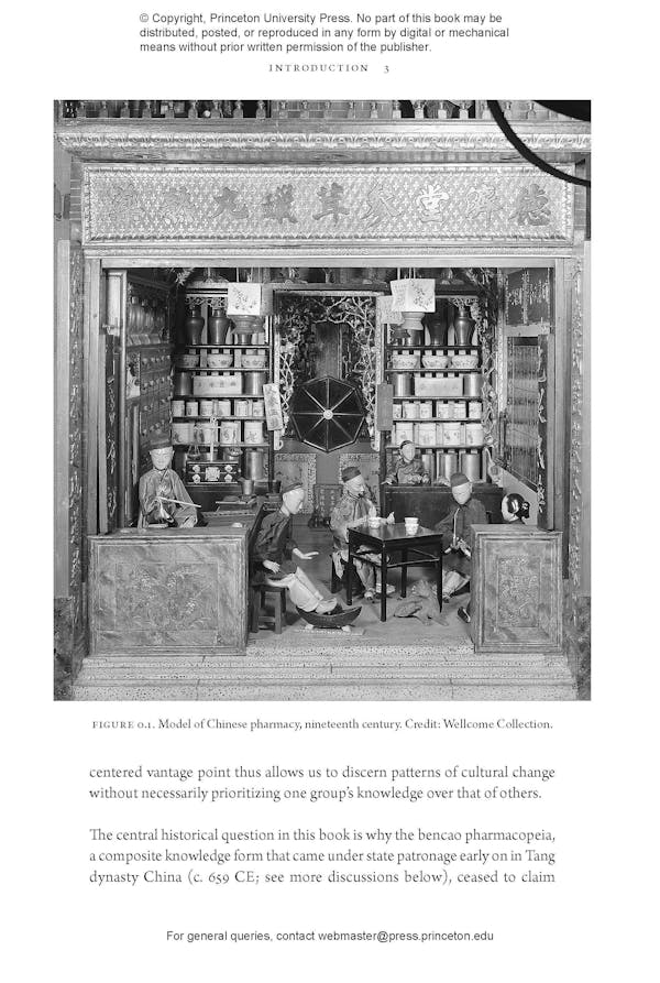 KNOW YOUR REMEDIES visual data 8