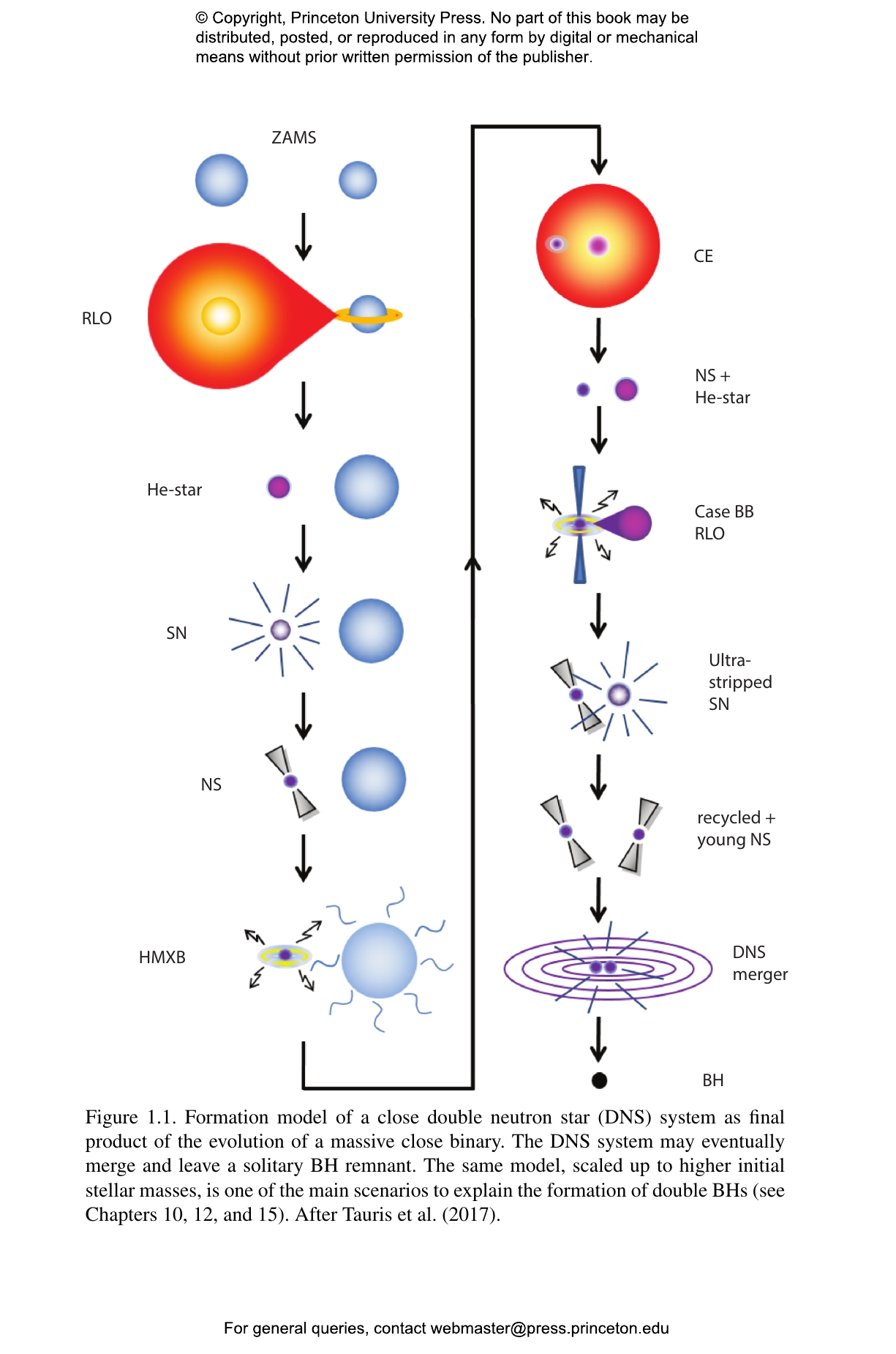 Physics of Binary Star Evolution | Princeton University Press