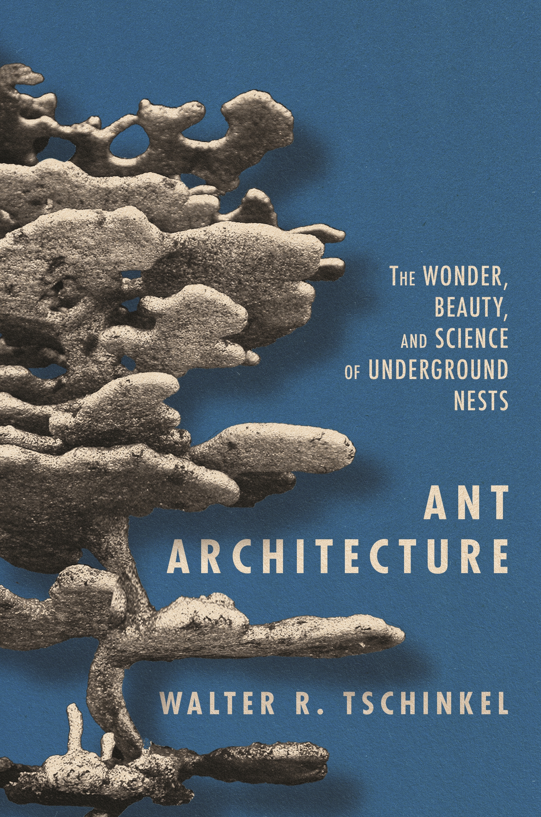 Interacción Hacia fuera manga Ant Architecture | Princeton University Press