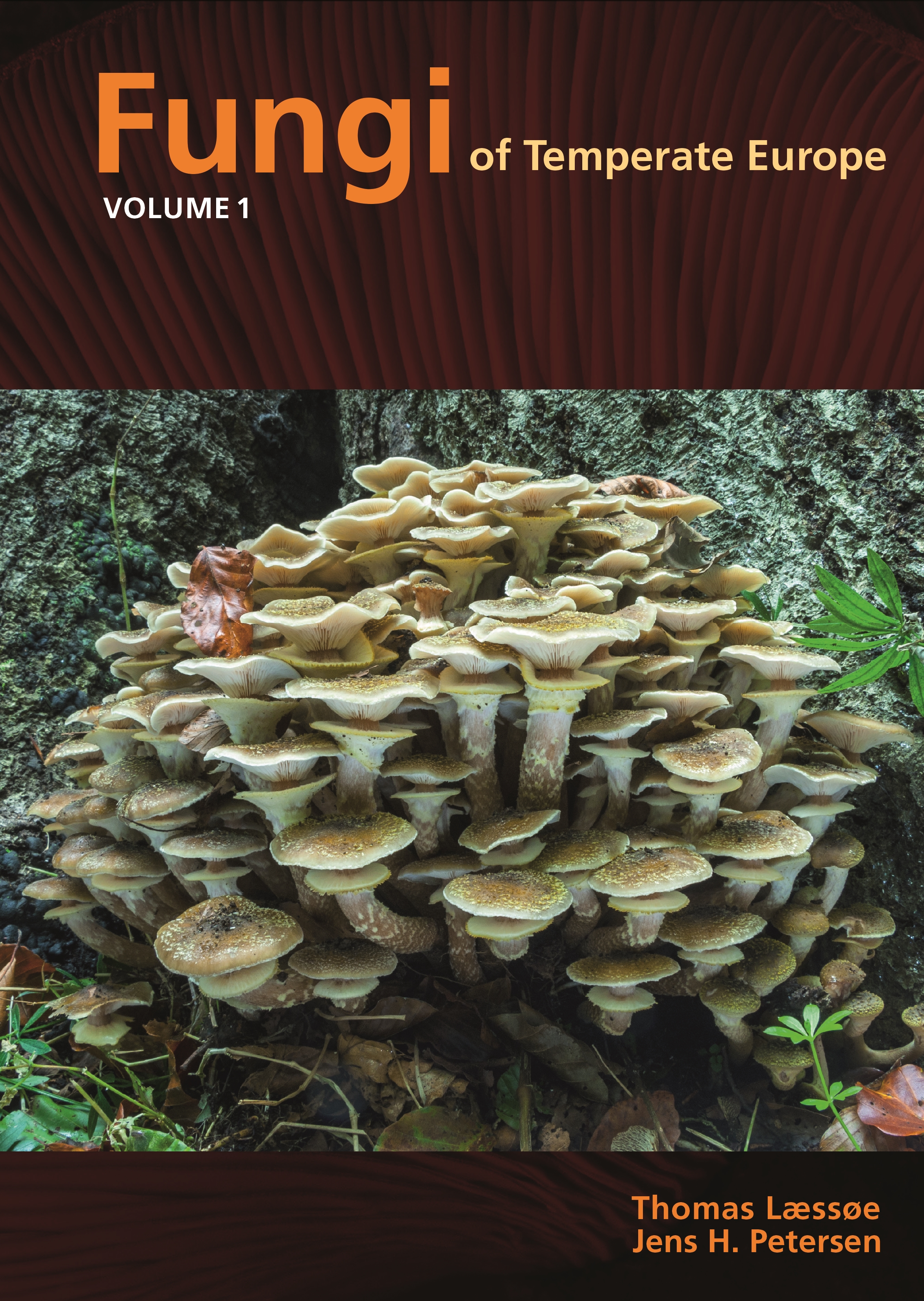Fungi of Temperate Europe | Princeton University Press