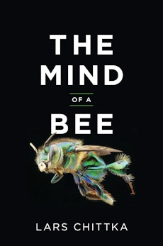 The Mind of a Bee