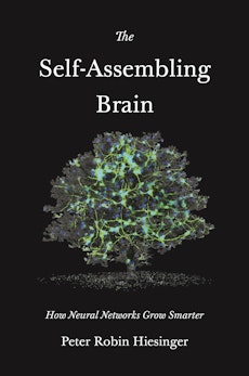 The Self-Assembling Brain