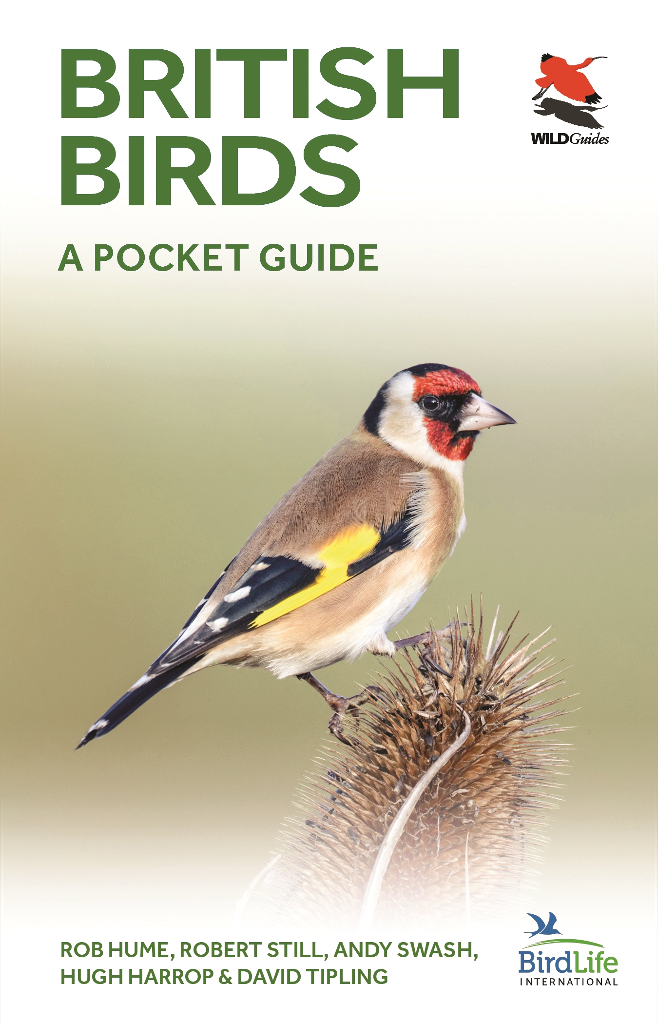 British Birds Identification Chart Wildlife Poster