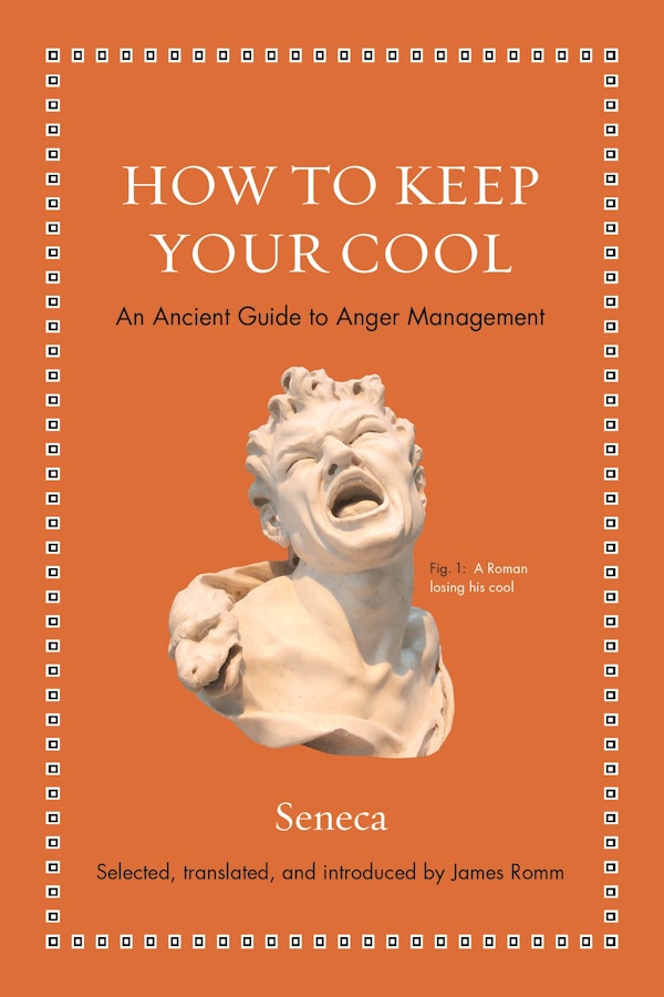 how-to-keep-your-cool-princeton-university-press