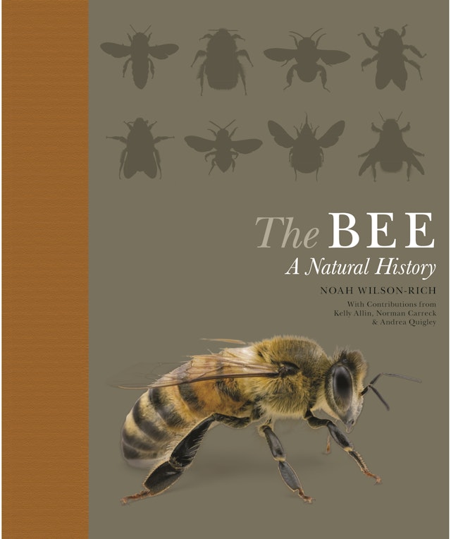 The Bee Princeton University Press - 