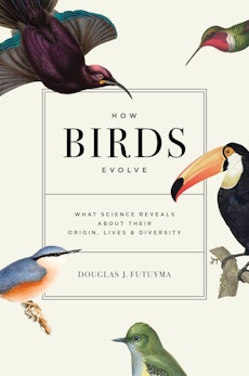 How Birds Evolve
