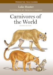 Carnivores of the World