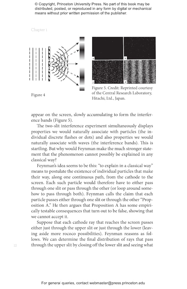 physics senior thesis princeton