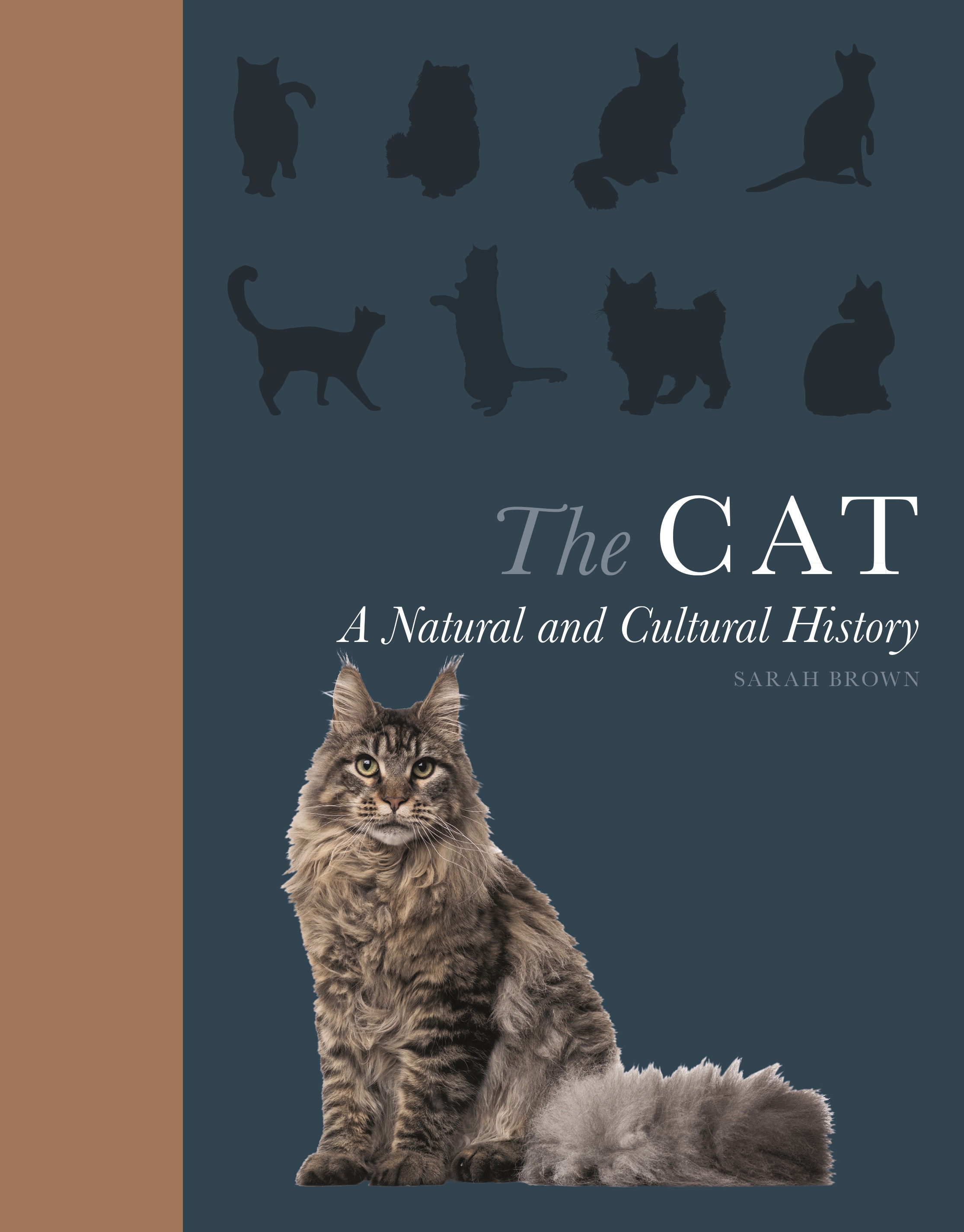 The Cat  Princeton University Press