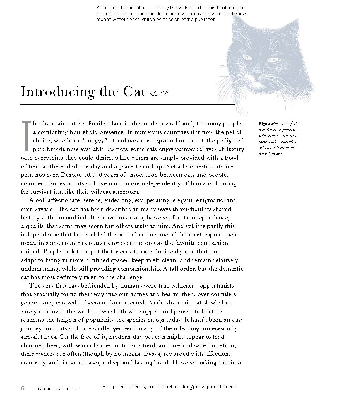 The Cat  Princeton University Press