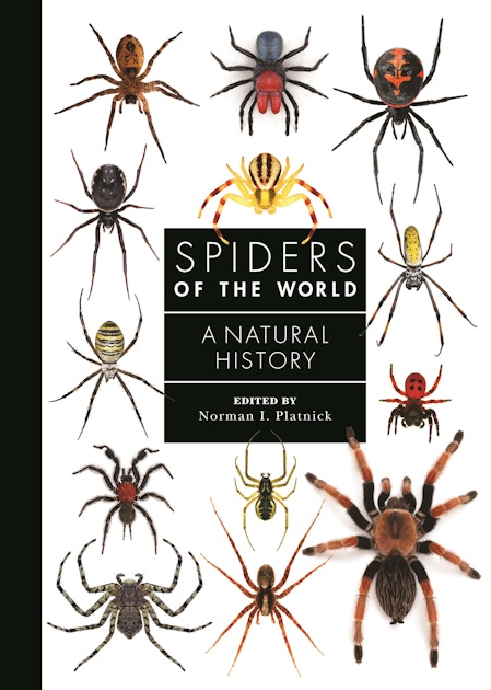 Spiders Around the World