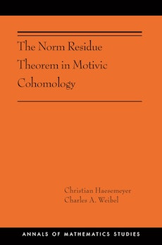 The Norm Residue Theorem in Motivic Cohomology