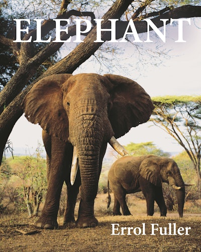 Elephant | Princeton University Press