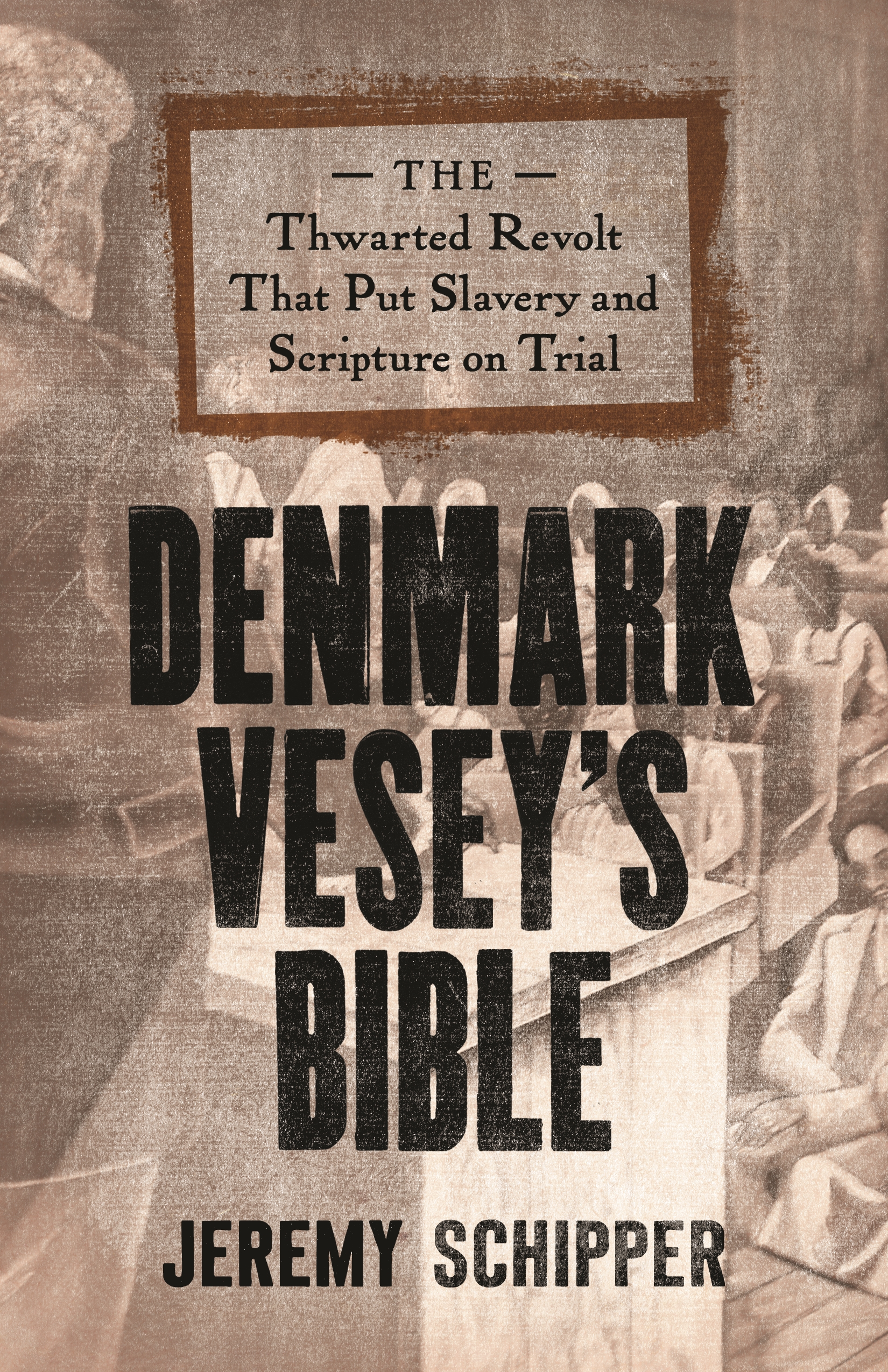 Denmark Vesey's Bible Princeton University Press