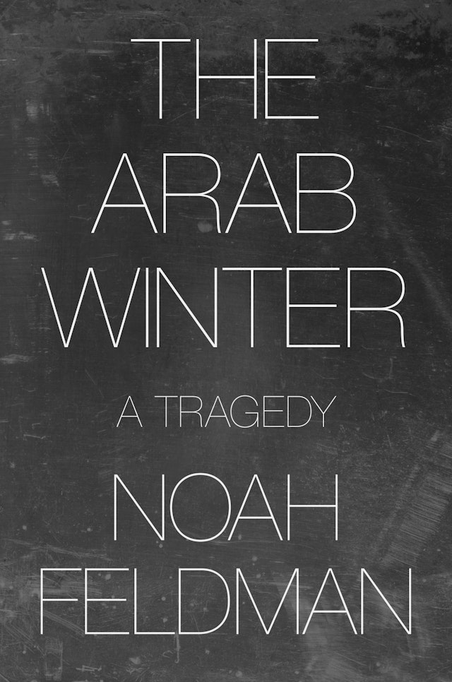 The Arab Winter Princeton University Press