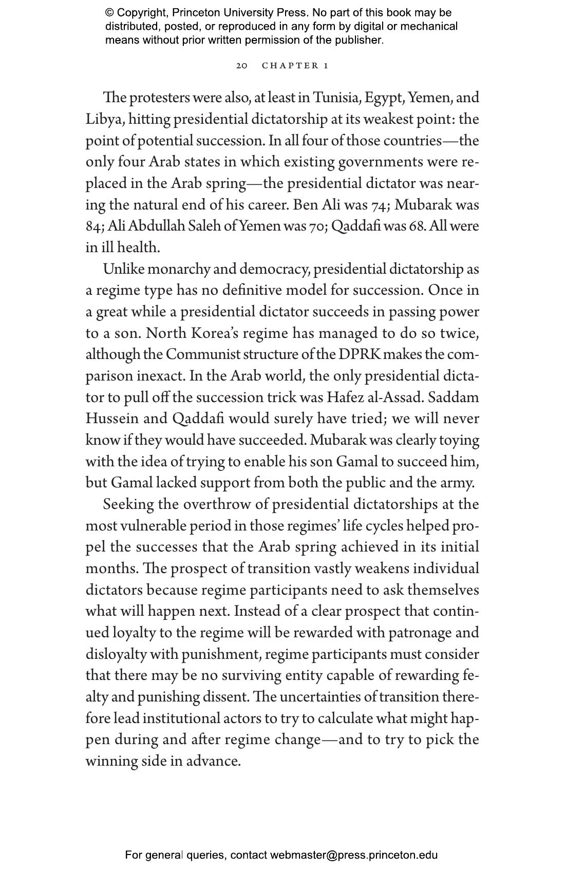 The Arab Winter | Princeton University Press