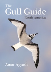 The Gull Guide