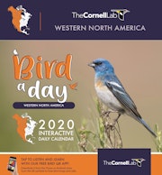 Bird a Day 2020 Interactive Daily Calendar Western North America