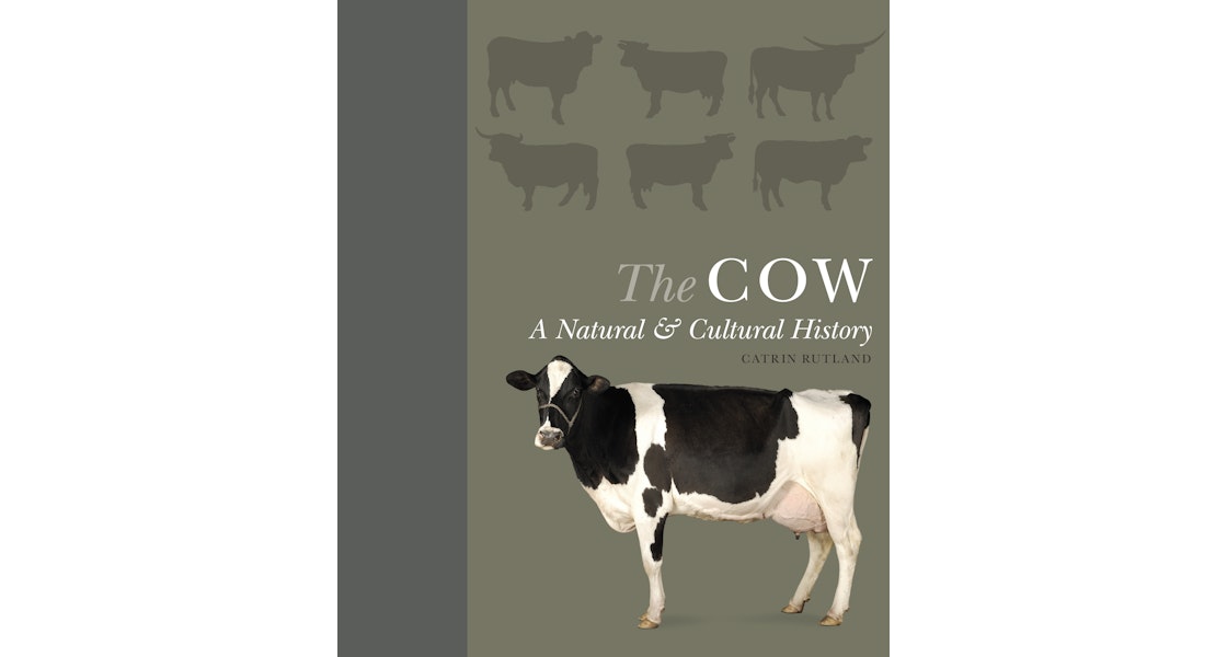 The Cow | Princeton University Press