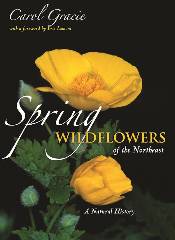 Spring Wildflowers of the Northeast Princeton University Press
