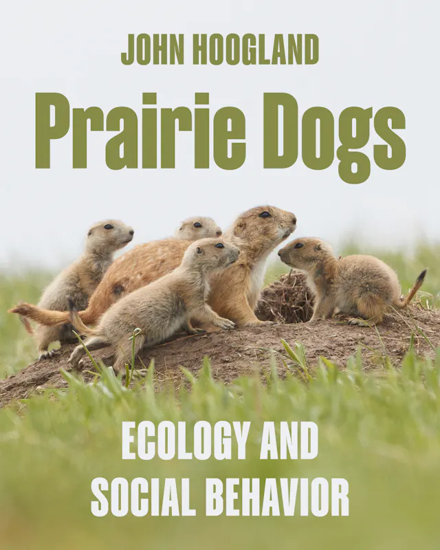 Prairie Dogs