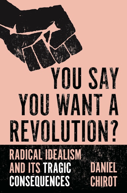 You Say You Want A Revolution Princeton University Press