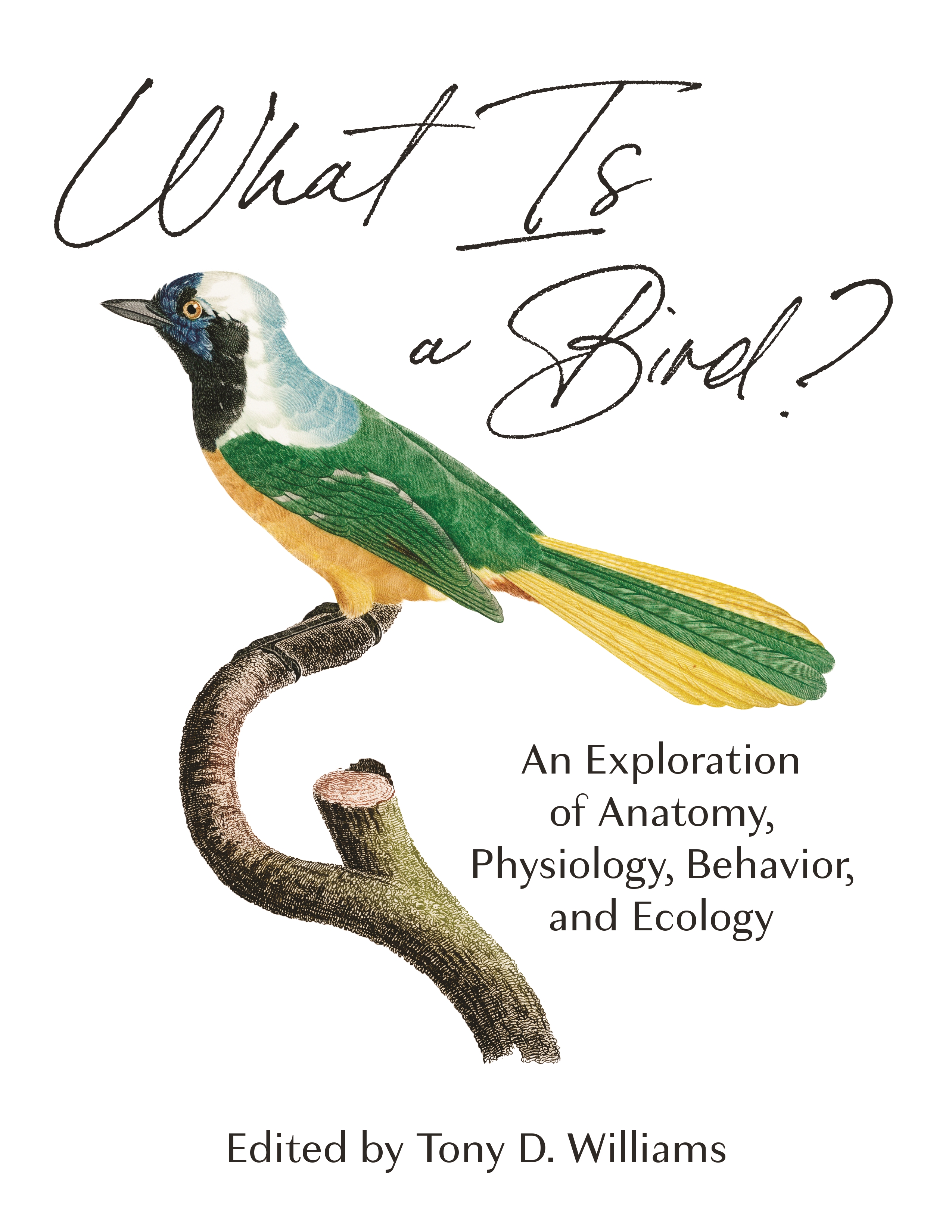 What Is a Bird? | Princeton University Press