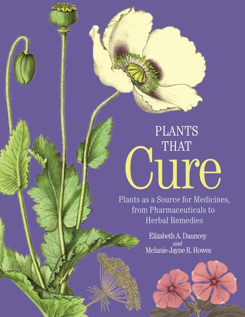 That Cure | Princeton Press