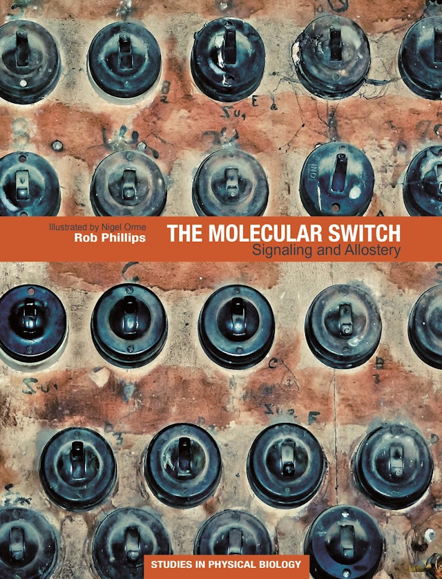 The Molecular Switch