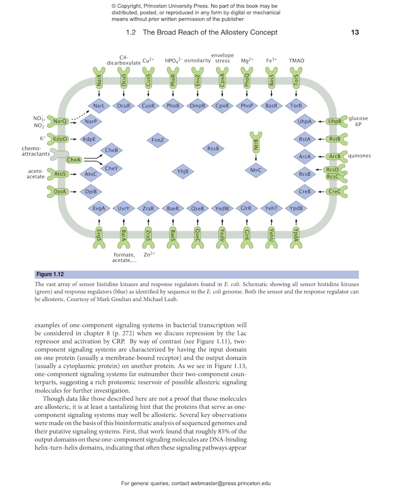 The Molecular Switch Princeton University Press