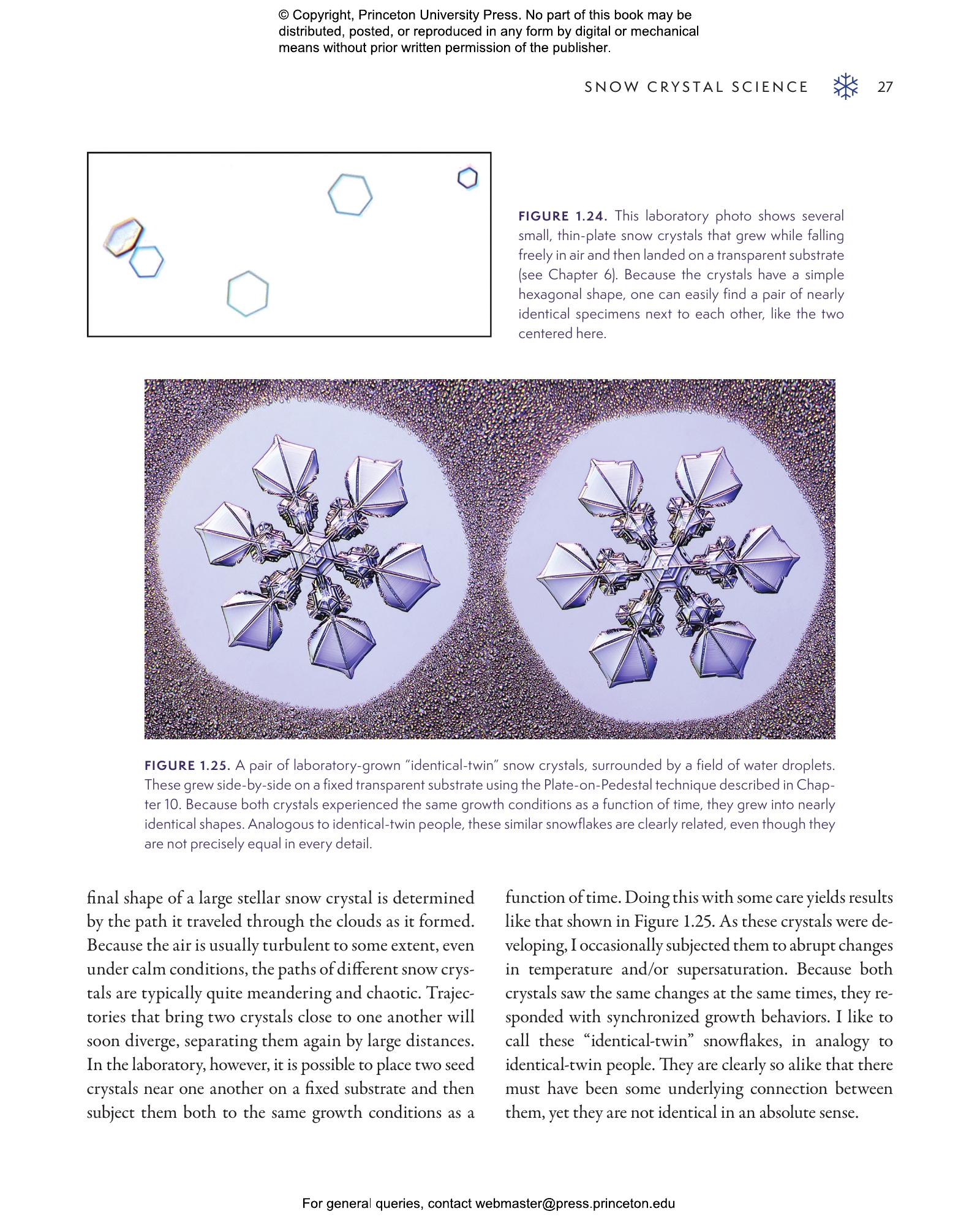 Snow Crystals | Princeton University Press
