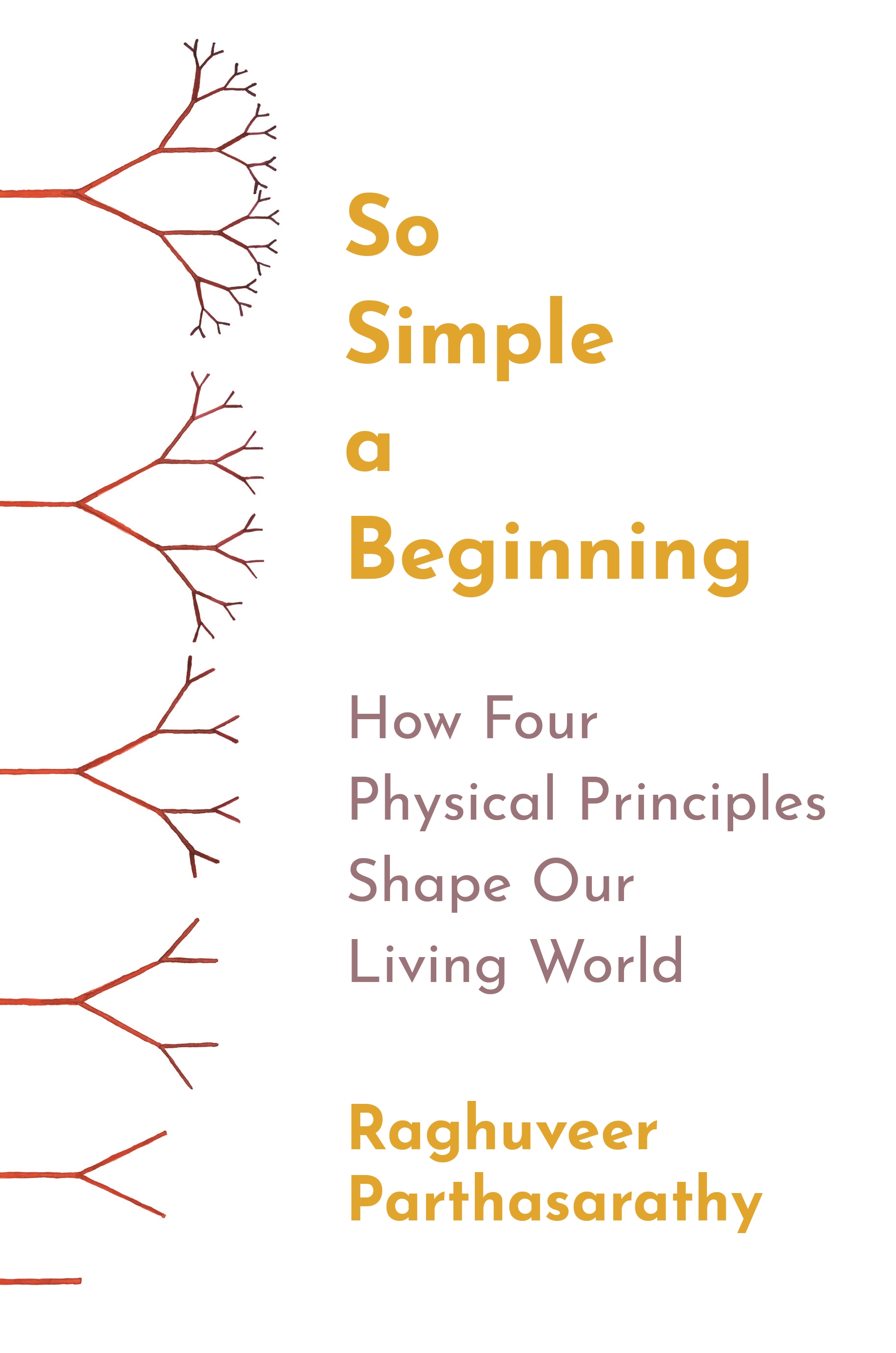 So Simple a Beginning  Princeton University Press