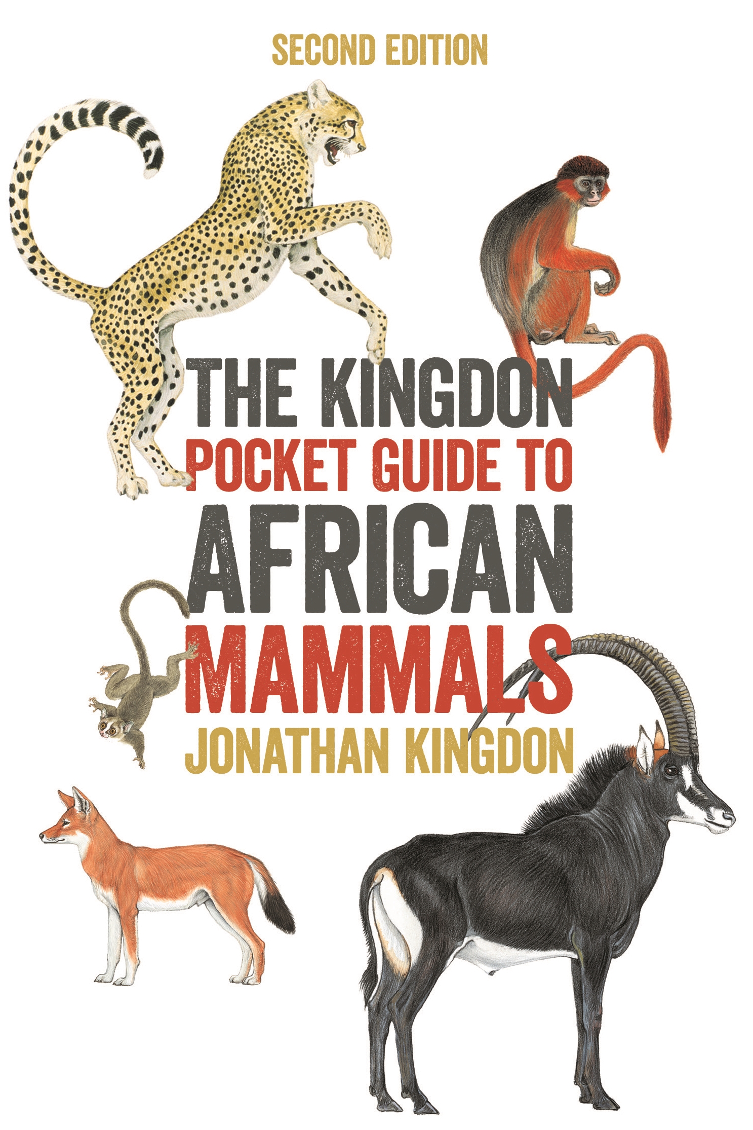 The Kingdon Pocket Guide to African Mammals | Princeton University Press
