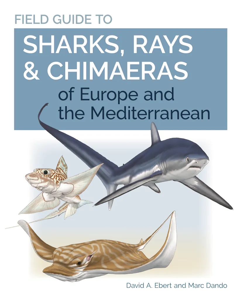 Sharks of the World | Princeton University Press