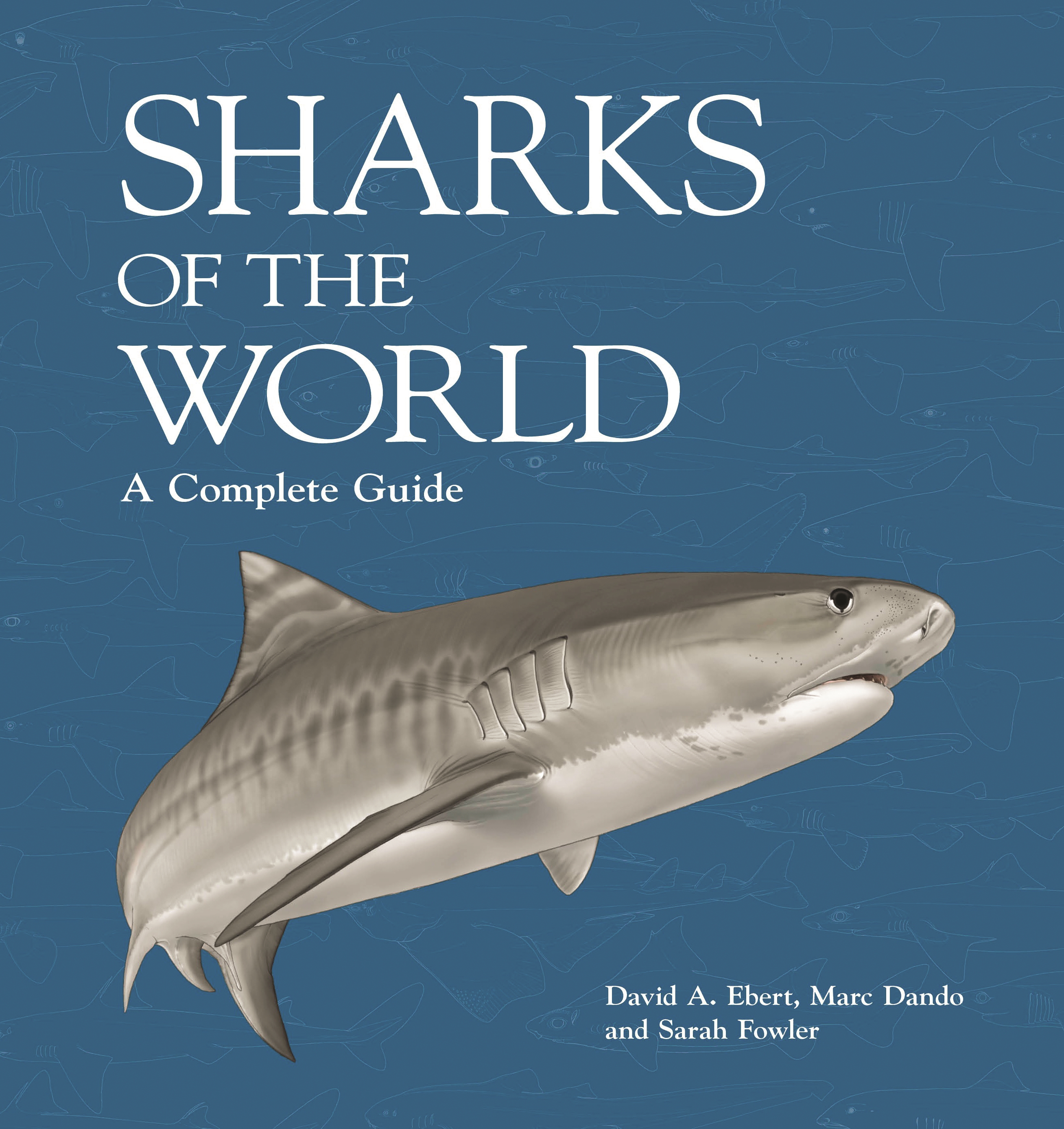 different types of sharks in the world