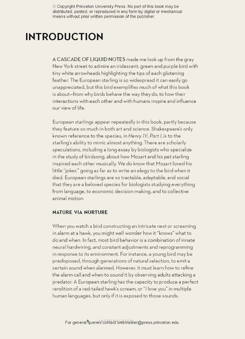 Understanding Bird Behavior Princeton University Press