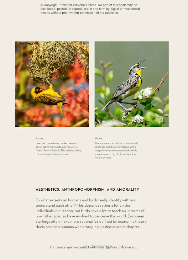 Understanding Bird Behavior | Princeton University Press - Large Bird Behavior Study