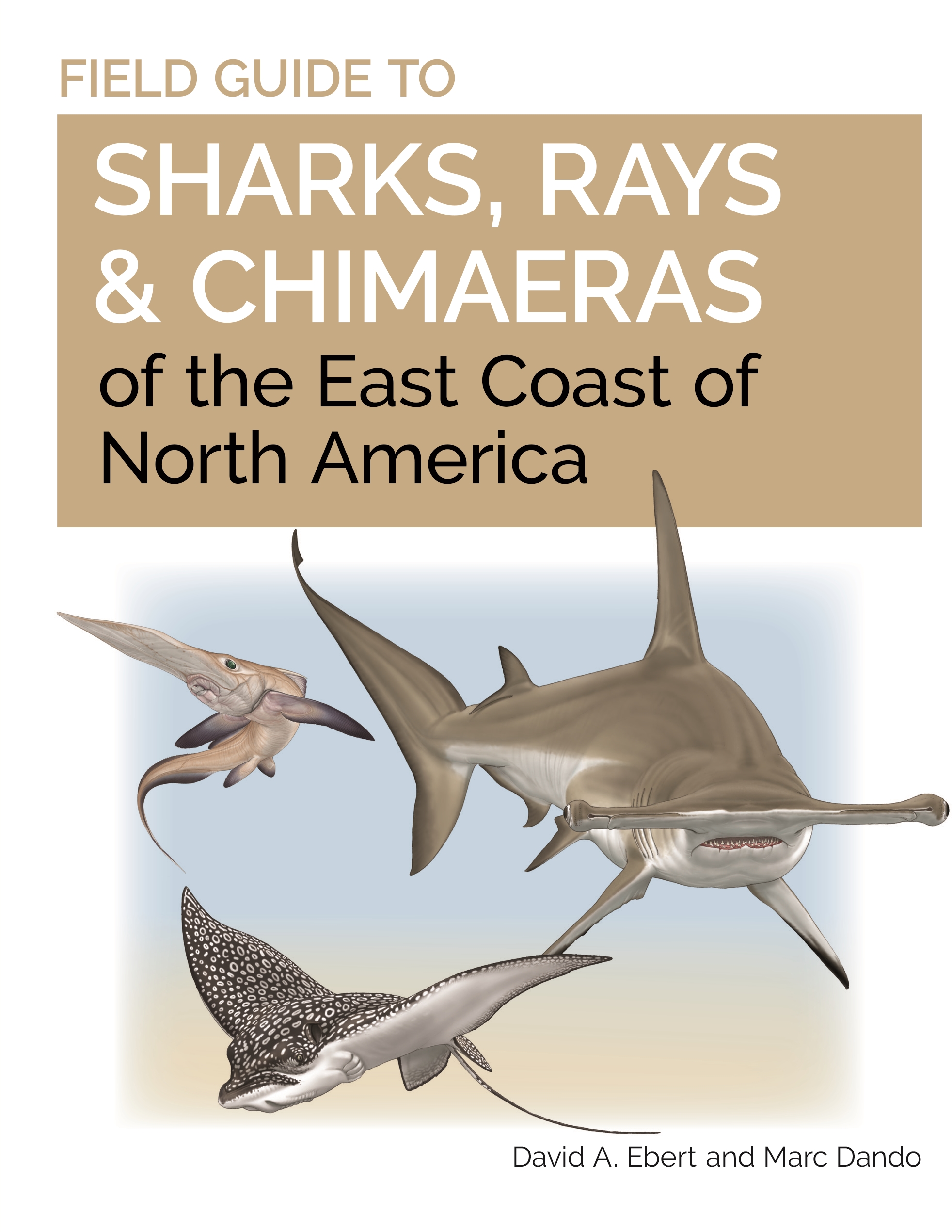 gennembore kobling Ups Field Guide to Sharks, Rays and Chimaeras of the East Coast of North  America | Princeton University Press