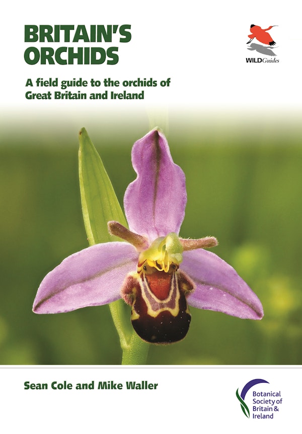 Britain's Orchids 