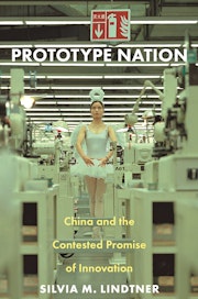 Prototype Nation
