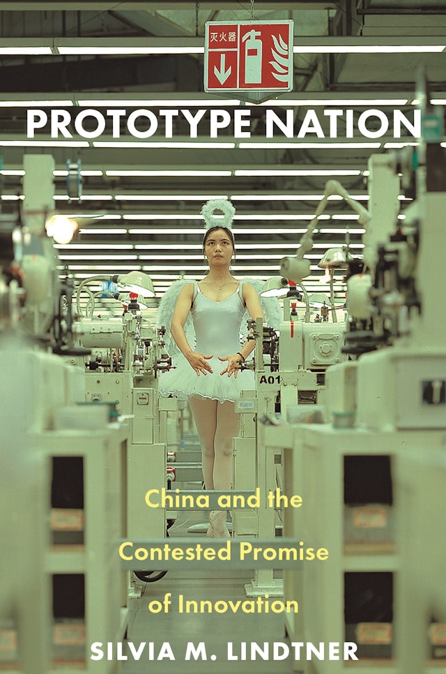 Prototype Nation Princeton University Press