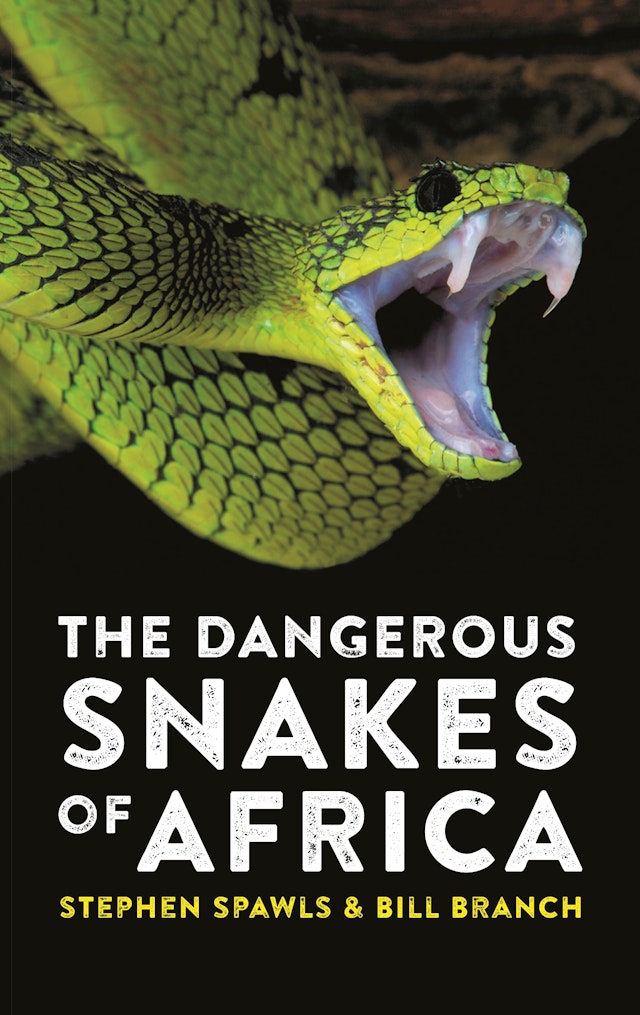 The Dangerous Snakes of Africa