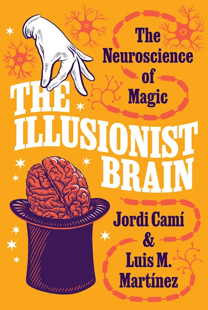 The Illusionist Brain