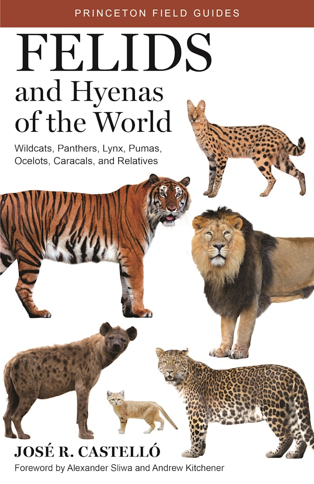 Felids and Hyenas of the World