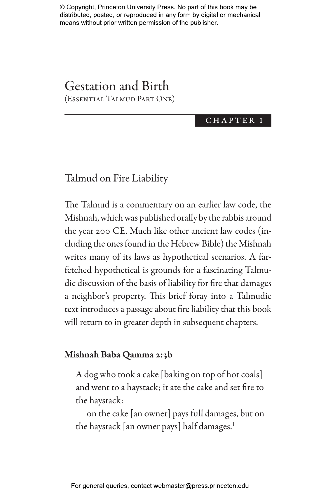 The Talmud | Princeton University Press