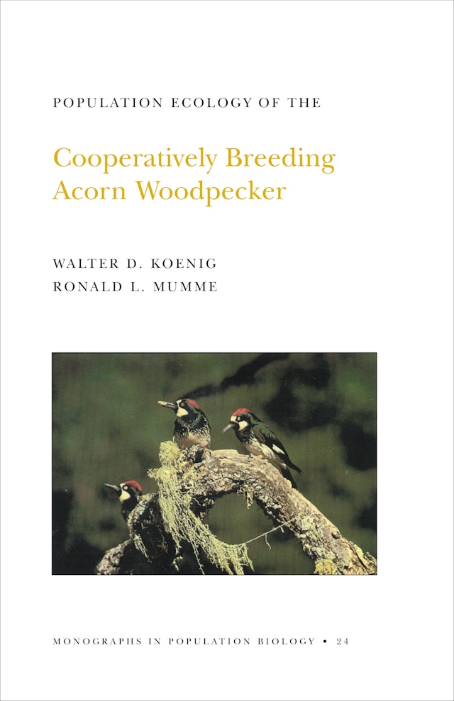 Population Ecology of the Cooperatively Breeding Acorn Woodpecker. (MPB-24), Volume 24
