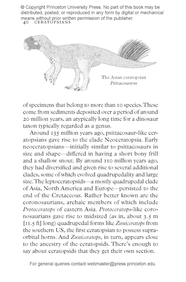 Dinopedia | Princeton University Press