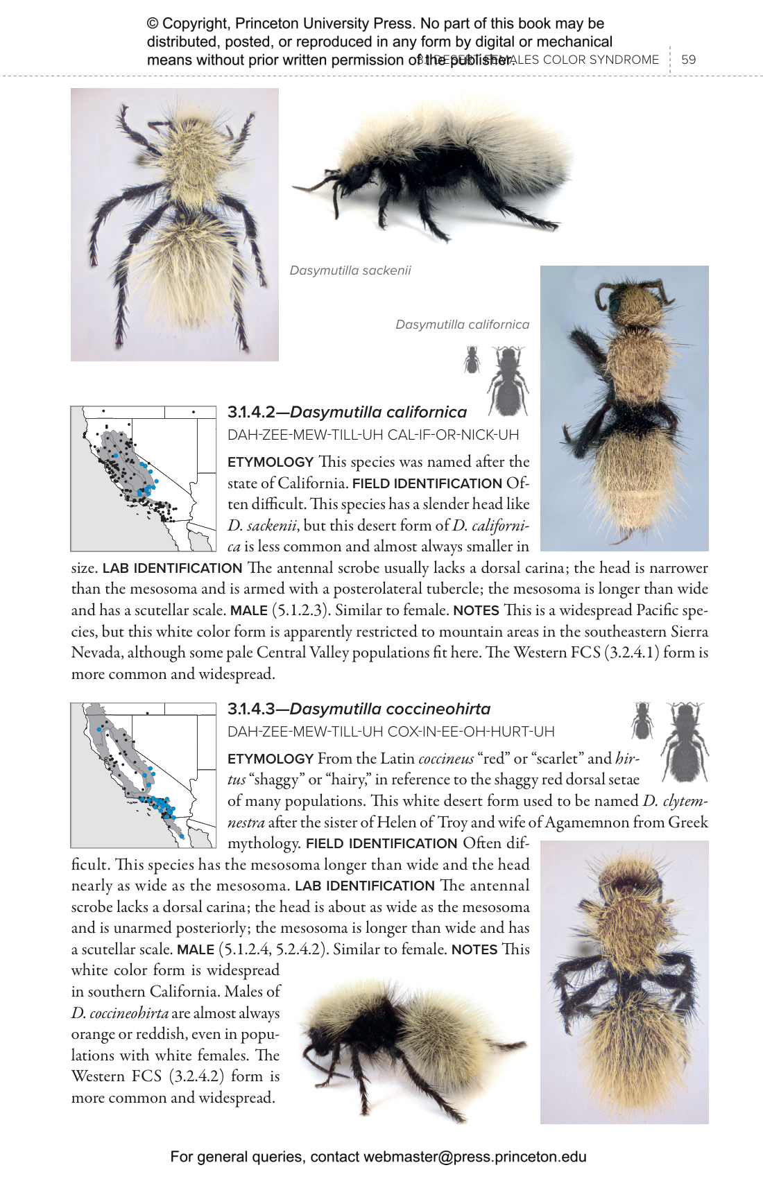 Velvet Ants Of North America | Princeton University Press