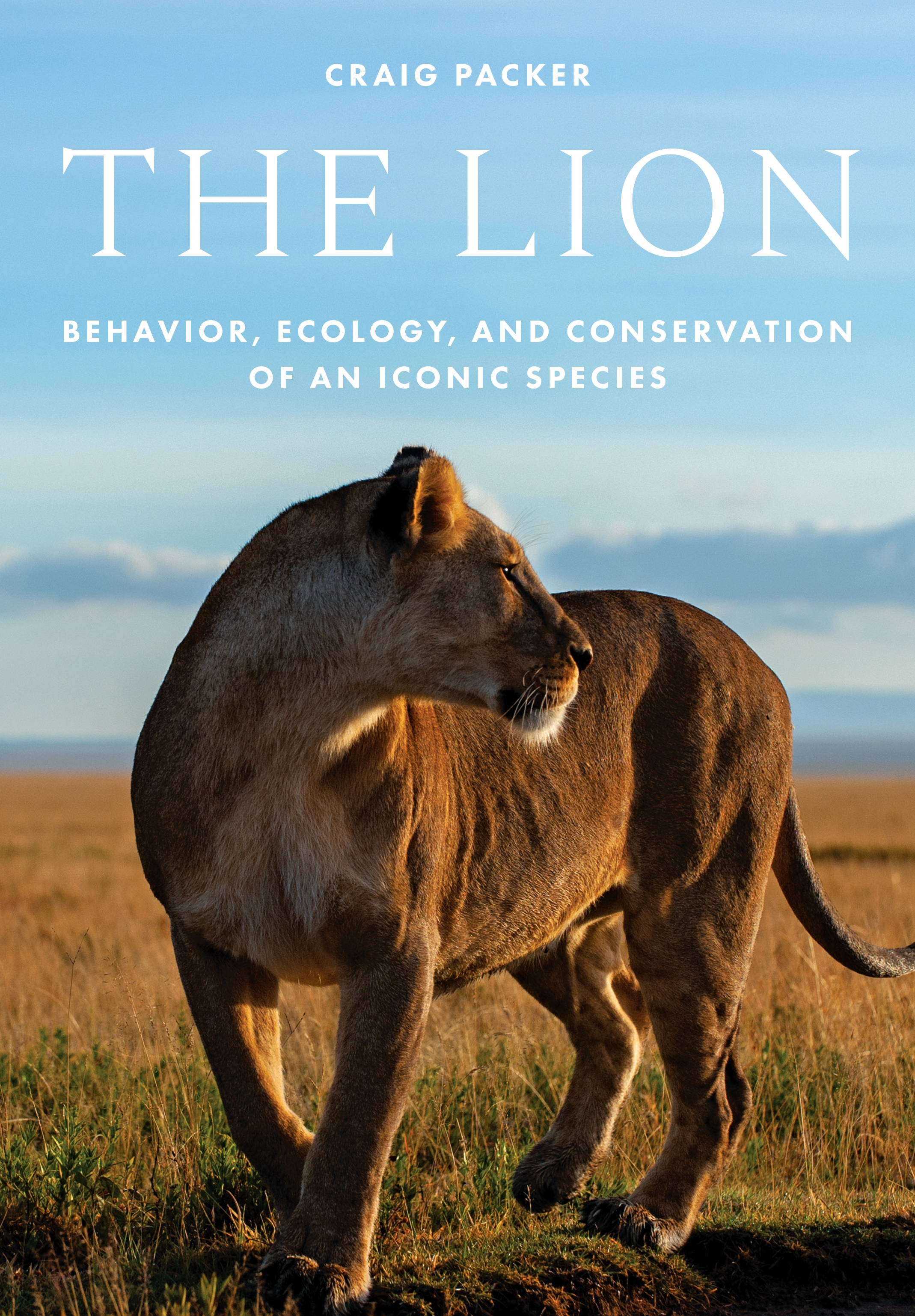 The Lion | Princeton University Press
